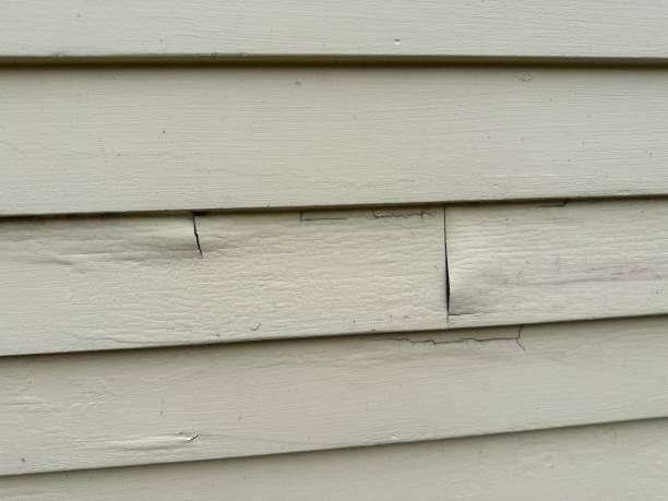 Best Stucco Siding  in Burlington, VT